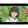 Maison Ghibli Storage-A4 Size Clear Folder Haku - Sprited Away