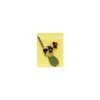 Maison Ghibli Pins-Pins Kiki On Her Broom - Kiki'S Delivery Service